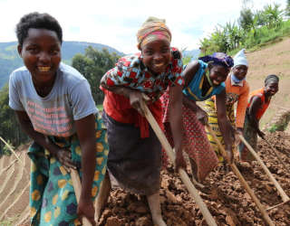 世界粮食计划署在卢旺达西部鲁齐罗的生计恢复力项目。照片：世界粮食计划署/Emily Fredenberg