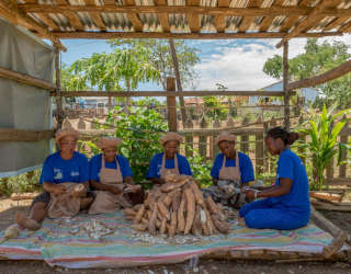 马达加斯加的 P4P（当地采购，促进发展） 计划旨在增加小农的机会和进入农业市场的机会。照片：世界粮食计划署/Giulio d'Adamo