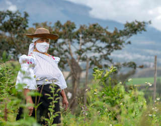 厄瓜多尔伊曼塔哥农村地区，因巴布拉省。照片：世界粮食计划署/Ana Buitron
