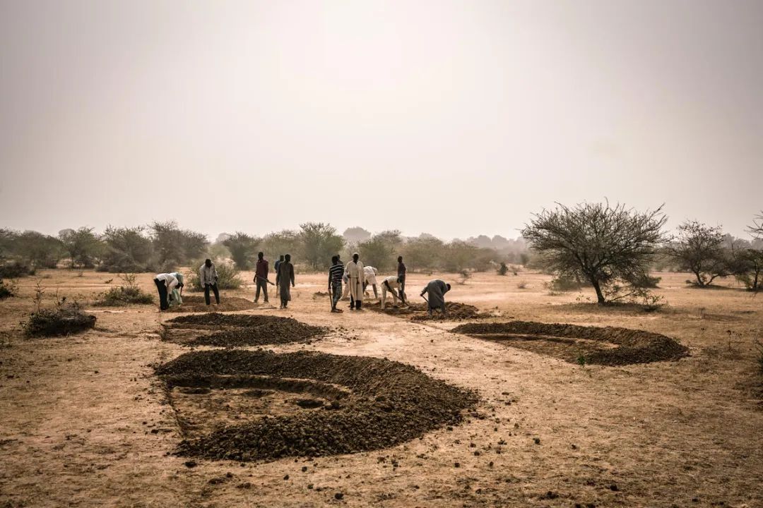 在尼日尔，社区成员通过半月形耕地等农业技术，恢复了超过2252公顷的农牧业用地。照片©WFP/Evelyn Fey