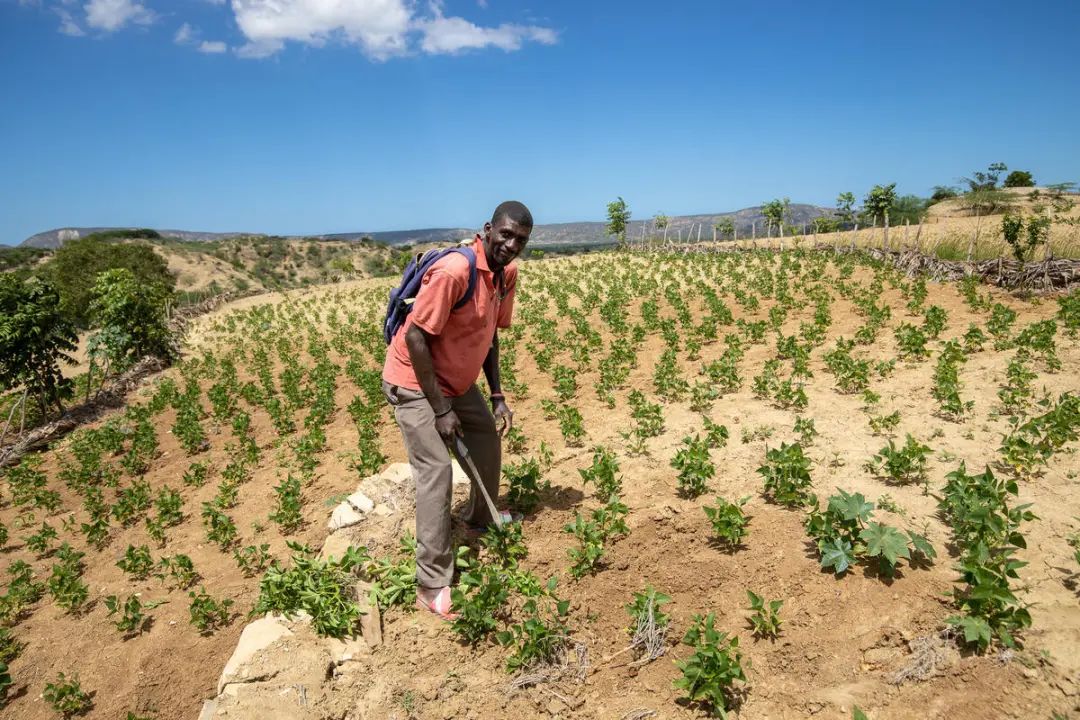 世界粮食计划署“粮食换资产”项目参与者正在参加土壤保护活动。照片©WFP/Theresa Piorr
