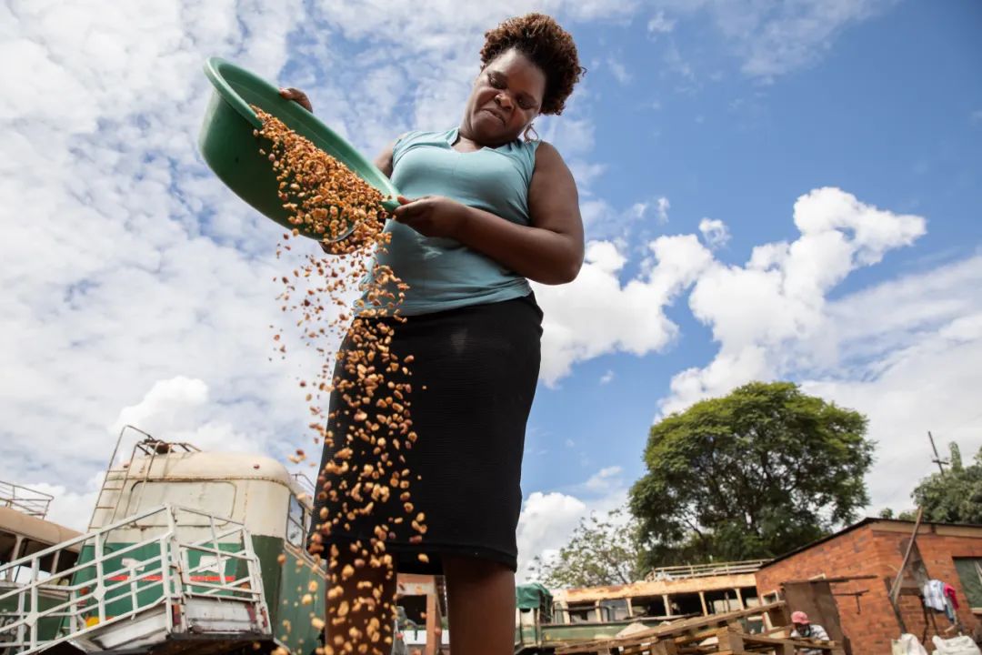来自津巴布韦的Edith Ndebel是世界粮食计划署城市韧性项目的受益者，她以制作花生酱为生。照片 © WFP/Samantha Reinders