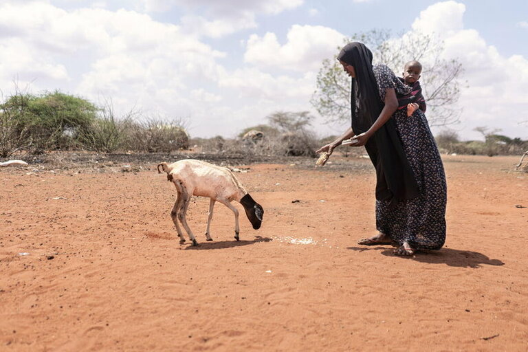非洲之角：没有雨水和资源，数百万家庭每天面临灾难威胁