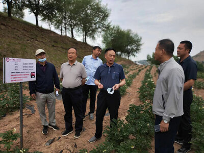 屈四喜代表在项目地考察。照片©WFP/Xiaobei Wang