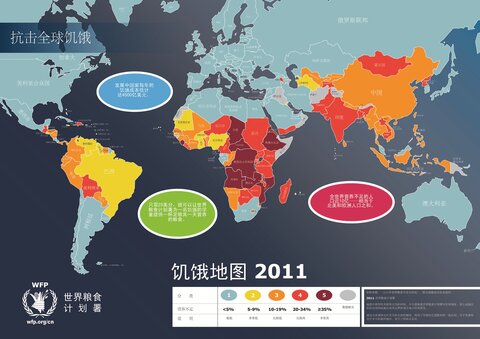 世界饥饿地图2011