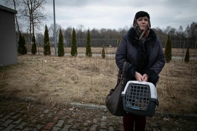 70岁的Ljudmila在前往波兰的六天行程中不忍心丢弃她的猫。照片©WFP/Marco Frattini