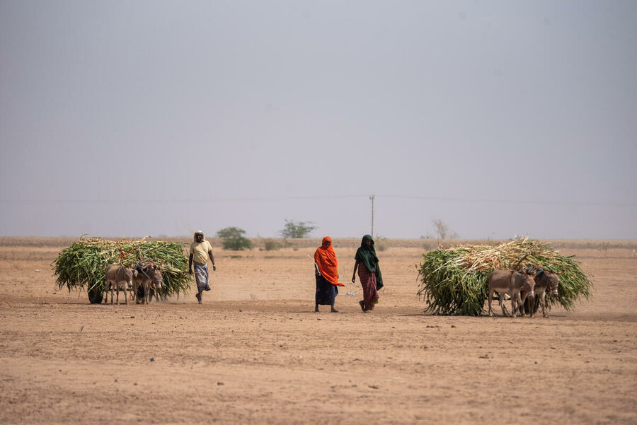 2021的旱灾是近年来最严重的一次，对索马里地区造成了很大影响。照片©WFP/Michael Tewelde