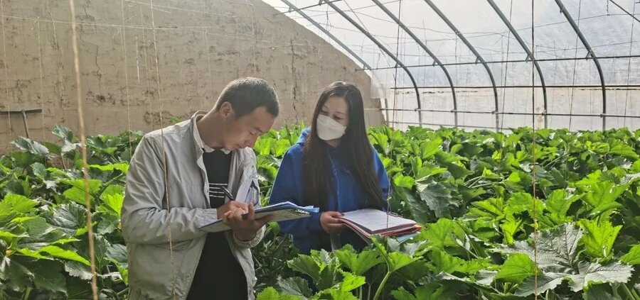 school feeding programme in Gansu Province, China