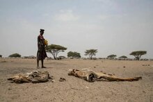 埃塞俄比亚南奥莫地区遭遇严重干旱。照片©WFP/Michael Tewelde