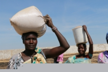 联合国难民署与世界粮食计划署警告：南苏丹冲突阻碍援助物资运输