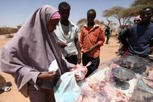世界粮食计划署派发食品抵用券帮助索马里饥饿家庭与当地市场